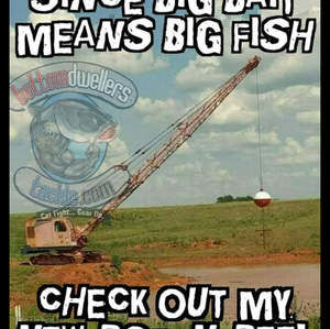 Meet your Posher, Shane